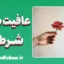 تله عافیت‌طلبی شرطی؛ چرا خوبی بی‌حدومرز ویرانگر است؟