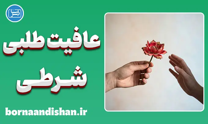 تله عافیت‌طلبی شرطی؛ چرا خوبی بی‌حدومرز ویرانگر است؟