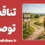 تناقض توصیه و عمل؛ چرا دیگران شما را از راه خود منع می‌کنند؟