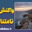 واکنش‌های نامتناسب: چرا از رفتارهای ساده‌مان پشیمان می‌شویم؟