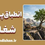 انطباق‌پذیری شغلی؛ راز ماندگاری در سخت‌ترین کارها