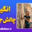 انگیزه چالش‌جویی؛ راز انسان‌های بلندپرواز