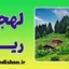 پکیج آموزش لهجه ریزه ترکیه