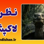 نظریه لاک‌پشت؛ از معامله‌گری تا مدیریت خشم