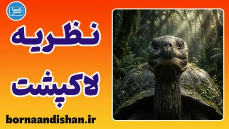 نظریه لاک‌پشت؛ از معامله‌گری تا مدیریت خشم