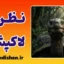 نظریه لاک‌پشت؛ از معامله‌گری تا مدیریت خشم
