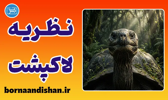نظریه لاک‌پشت؛ از معامله‌گری تا مدیریت خشم
