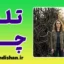 تله ذهنی چرا؛ راز تبدیل رنج به قدرت