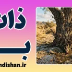 ذات بد و تغییر؛ تغییرپذیری شخصیت انسان