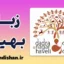 پکیج آموزش زبان بهیلی با لهجه دادرا و نگر حویلی و دامان و دیو هندوستان