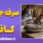 صرفه‌جویی کاذب؛ تله‌‌ای پنهان که ثروت شما را می‌بلعد