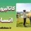 کاتالیزورهای انسانی؛ بیدارگرانی که برای ماندن نمی‌آیند