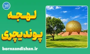 پکیج آموزش زبان تامیلی با لهجه پوندیچری