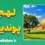 پکیج آموزش زبان تامیلی با لهجه پوندیچری هندوستان