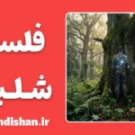 فلسفه شلینگ؛ پل میان طبیعت و آگاهی