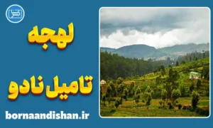 پکیج آموزش زبان تامیلی با لهجه تامیل نادو