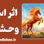 اثر اسب وحشی؛ چرا واکنش‌های ما مخرب‌تر از مشکلاتند؟