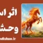 اثر اسب وحشی؛ چرا واکنش‌های ما مخرب‌تر از مشکلاتند؟