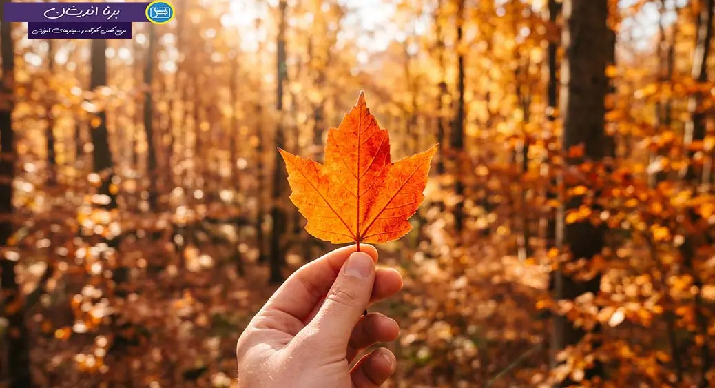 شواهد حکایتی؛ مرز تجربه شخصی و علم شواهد حکایتی؛ تله داستانهای باورپذیر