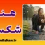 هنر شکست و تاب آوری؛ فرمول برخاستن دوباره