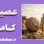 عصیان کامو؛ ایستادگی آگاهانه در برابر پوچی