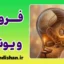 مقایسه فروید و یونگ: جدال دو دیدگاه در روان‌شناسی