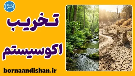 تخریب اکوسیستم؛ فاجعه زیست‌محیطی یا تهدید اقتصادی؟