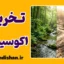 تخریب اکوسیستم؛ فاجعه زیست‌محیطی یا تهدید اقتصادی؟