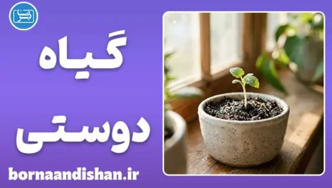 علاقه به گل و گیاه؛ ریشه‌های علمی و روان‌شناسی