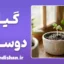 علاقه به گل و گیاه؛ ریشه‌های علمی و روان‌شناسی