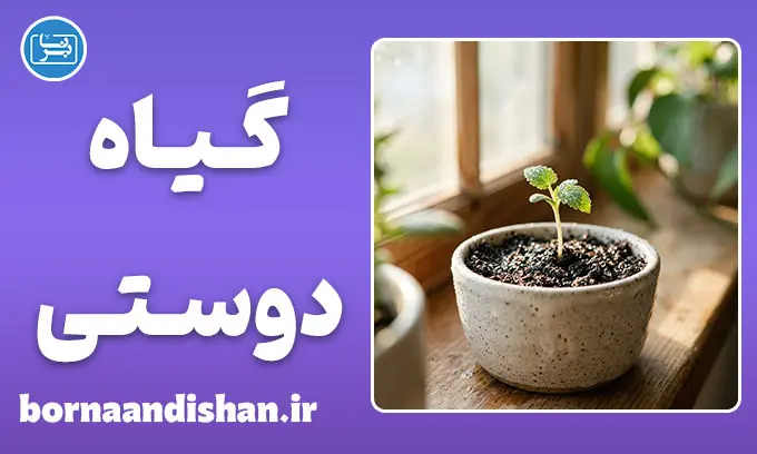 علاقه به گل و گیاه؛ ریشه‌های علمی و روان‌شناسی