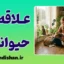 علاقه به حیوانات؛ ریشه‌ها، فواید و مسئولیت‌ها