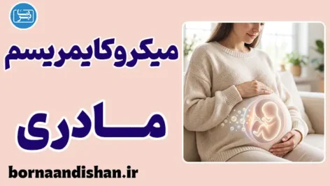 میکروکایمریسم مادری: راز بقای سلول‌های مادر در فرزند