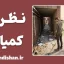 نظریه کمیابی؛ منطق بقا یا انحراف تصمیم؟