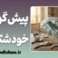 پیش‌گویی خودشکوفا و معجزه باورها