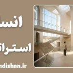 انسان استراتژیک آدلر و کشف سبک زندگی