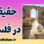 حقیقت در فلسفه؛ از مطابقت تا پایان یقین