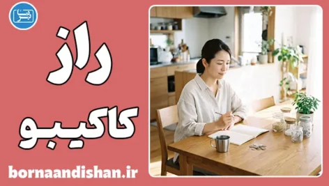 کاکیبو و راز ثروت خاموش