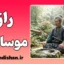 موساشی و ذهن شکست‌ناپذیر؛ فراتر از اسطوره سامورایی