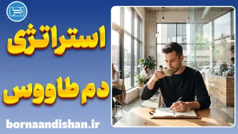 استراتژی دم طاووس چیست؟ راز جذب بدون تعقیب