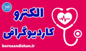 کارگاه پزشکی الکتروکاردیوگرافی و برادی آریتمی
