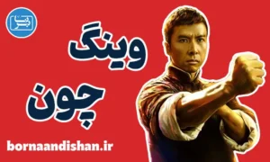 پکیج آموزش وینگ چون به صورت تخصصی